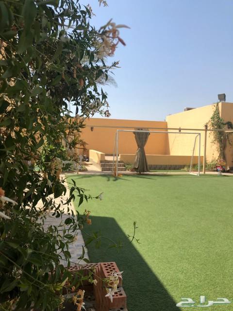 استراحة للإيجار في جدة