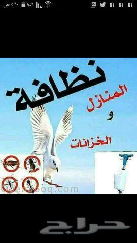 شركة تنظيف كنب وشقق وتلميع السراميك بالمدينة